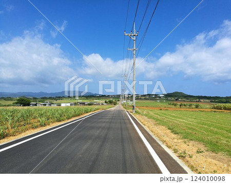 沖縄の八重山諸島の離島にあるシュガーロード、真っ直ぐ伸びる田舎道とサトウキビ畑の風景 沖縄の八重山諸島の離島にあるシュガーロード、真っ直ぐ伸びる田舎道とサトウキビ畑の風景 124010098