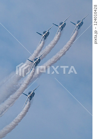 ブルーインパルス 124010428