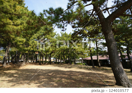 海の公園（うみのこうえん）ジョギングコース 124010577
