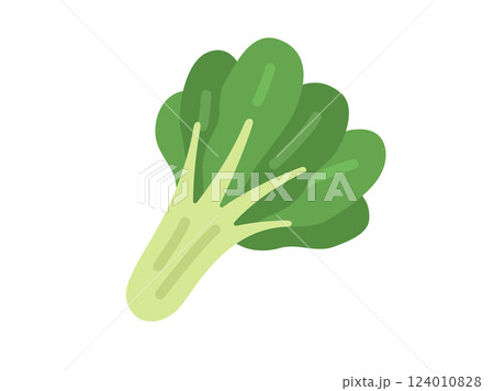 小松菜のアイコンのイラスト 小松菜のアイコンのイラスト 124010828