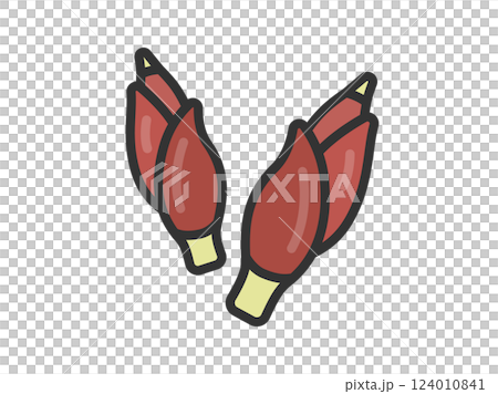 薑圖示插圖（線條描彩色） 124010841