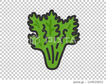 菊花圖示插圖(線條描彩色) 菊花圖示插圖(線條描彩色) 124010852