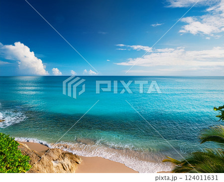 夏の海の風景 124011631