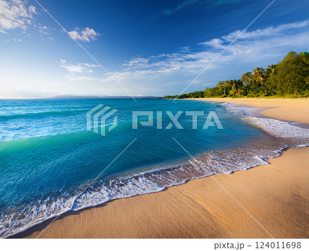 夏の海の風景 124011698
