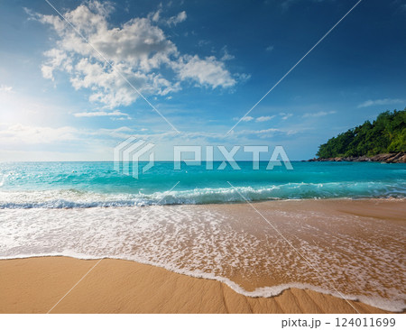 夏の海の風景 124011699