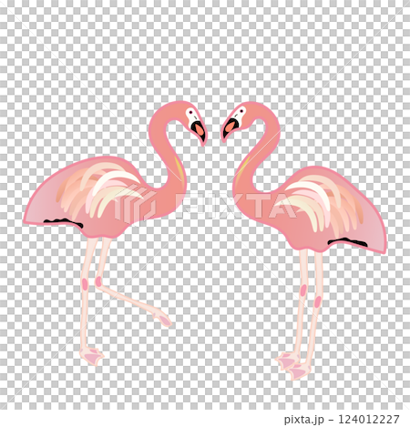 フラミンゴのイラスト フラミンゴのイラスト 124012227