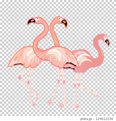 火烈鳥的插圖 火烈鳥的插圖 124012230