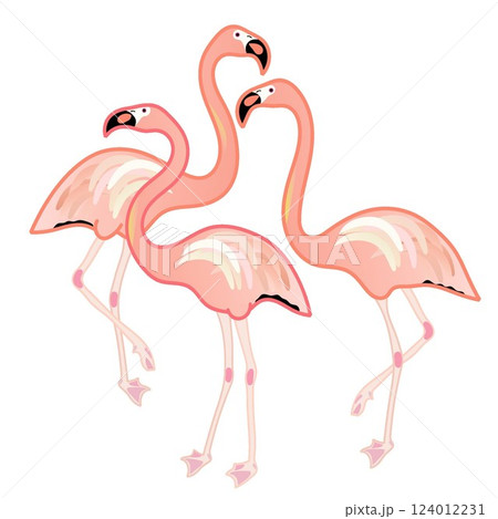 フラミンゴのイラスト 124012231