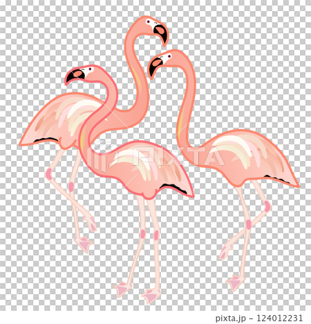フラミンゴのイラスト 124012231