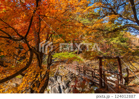 【山梨県】荒川沿いの遊歩道の紅葉が美しい、秋の昇仙峡 【山梨県】荒川沿いの遊歩道の紅葉が美しい、秋の昇仙峡 124012887