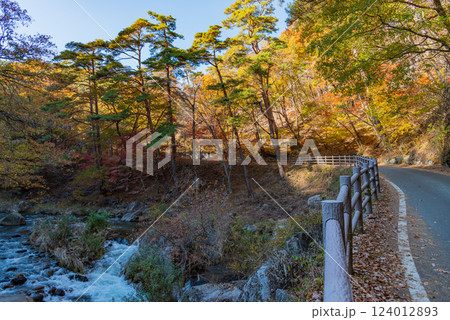 【山梨県】荒川沿いの遊歩道の紅葉が美しい、秋の昇仙峡 124012893