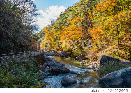 【山梨県】荒川沿いの遊歩道の紅葉が美しい、秋の昇仙峡 124012906