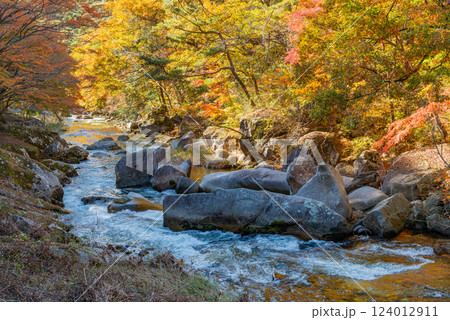 【山梨県】荒川沿いの遊歩道の紅葉が美しい、秋の昇仙峡 124012911