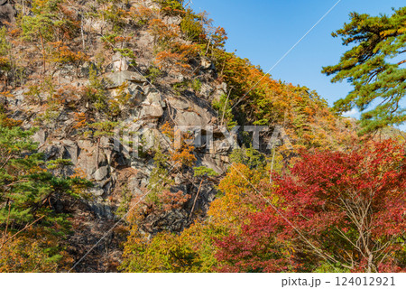 【山梨県】荒川沿いの遊歩道の紅葉が美しい、秋の昇仙峡 124012921