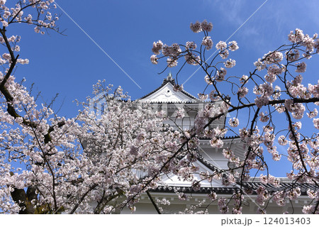 桜 城 桜 城 124013403