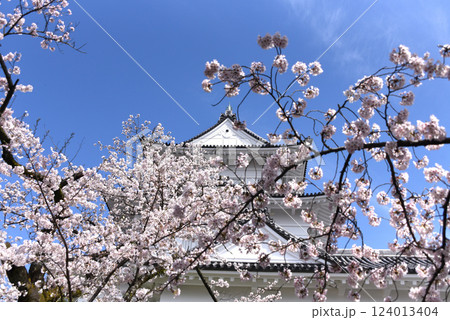桜 城 桜 城 124013404