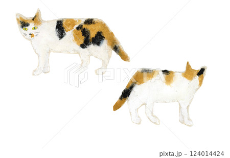 歩く三毛猫前向きと後ろ向き 歩く三毛猫前向きと後ろ向き 124014424
