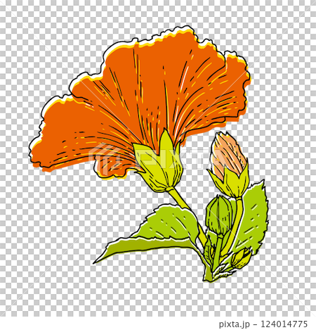 Summer flowers Hibiscus 124014775