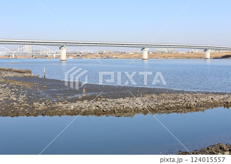 江戸川放水路の干潟 124015557