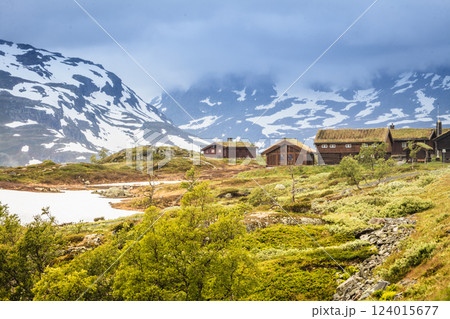 Haukeli mountains in summer 124015677