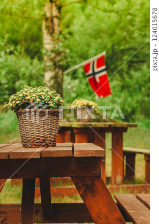 norwegian flag and green picnic site 124015678