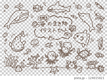 海の生き物セット　手描き　線画 124015821