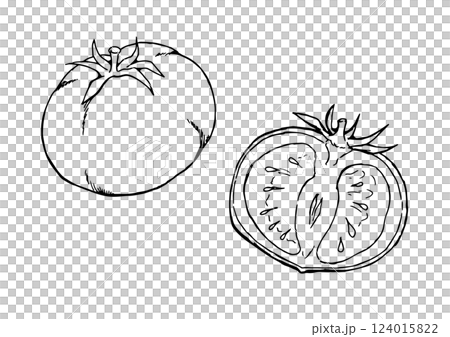 番茄、單件、橫切面、水墨畫、線條描 124015822