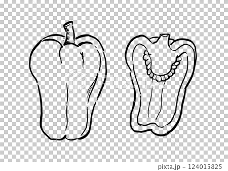 Bell pepper, single section, ink painting, line drawing 124015825