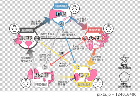 東方醫學五行理論（五臟六腑）相關圖 124016480