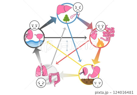 東洋医学の五行説(五臓六腑)の相関図 124016481