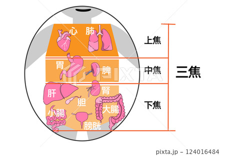 東洋医学の三焦のイメージ 124016484