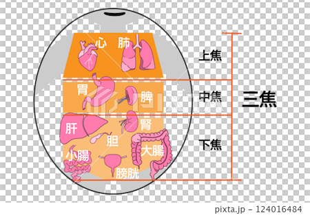 東洋医学の三焦のイメージ 124016484