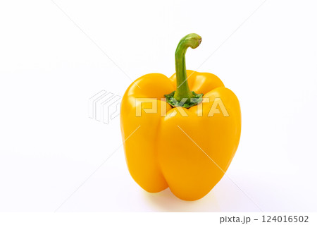 白バックの黄色いパプリカ 124016502