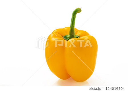 白バックの黄色いパプリカ 124016504