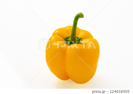 白バックの黄色いパプリカ 124016505