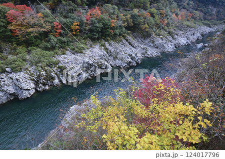 錦秋の大歩危峡の眺め 124017796