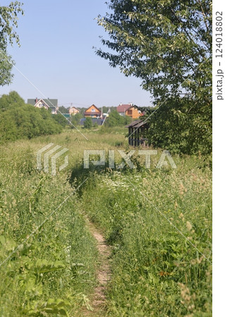 Road through dense forest. Dirt road through thickets of tall green grass Road through dense forest. Dirt road through thickets of tall green grass 124018802
