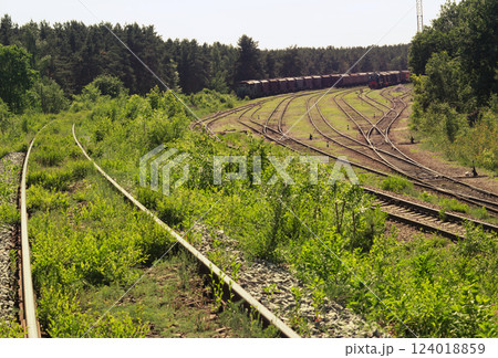 railway siding, overgrown with grass. shunting electric locomotive and coupling of goods wagons on different tracks of railway goods station tracks intersection. interlaced set of points with manual railway siding, overgrown with grass. shunting electric locomotive and coupling of goods wagons on different tracks of railway goods station tracks intersection. interlaced set of points with manual 124018859