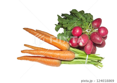 fresh vegetables big lush bunches of radish and carrot with green tops. isolated on white background 124018869
