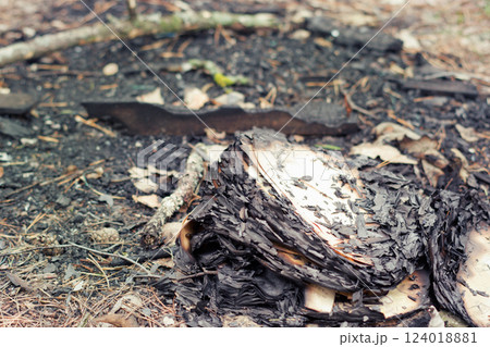 badly burned book, lies on pine needles among the cones and dry broken branches 124018881