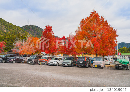 愛知県東栄町にある秋のとうえい温泉 花まつりの湯の紅葉した風景(愛知県) 愛知県東栄町にある秋のとうえい温泉 花まつりの湯の紅葉した風景(愛知県) 124019045