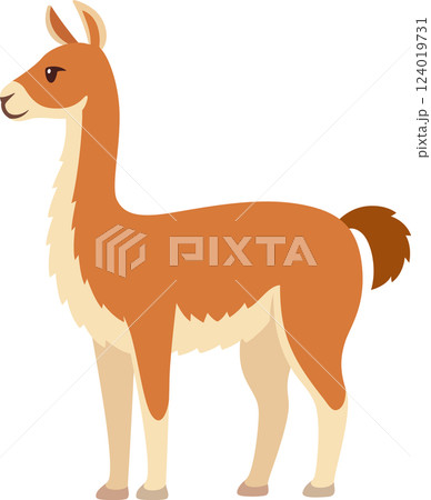 Guanaco vector illustration Guanaco vector illustration 124019731