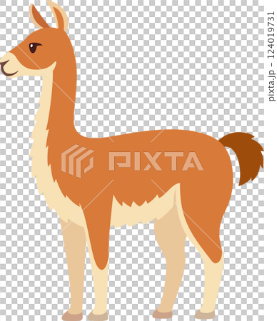 Guanaco vector illustration Guanaco vector illustration 124019731