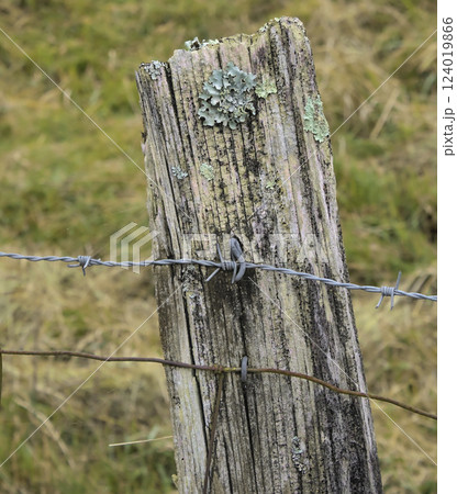barbed wire on a fence 124019866