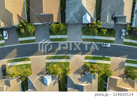 Wealthy neighborhood with expensive houses in southern Florida. Development of US premium housing market 124020114