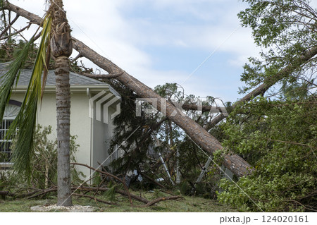 Tree damage to home rooftop after hurricane in Florida. Fallen down debris after strong tropical storm winds. Consequences of natural disaster Tree damage to home rooftop after hurricane in Florida. Fallen down debris after strong tropical storm winds. Consequences of natural disaster 124020161
