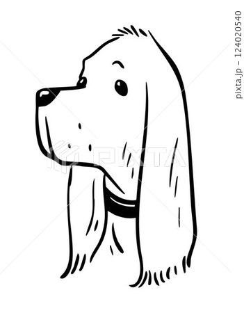 Hand drawn sketch of cocker spaniel Hand drawn sketch of cocker spaniel 124020540