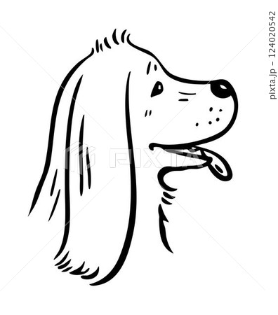 Hand drawn sketch of cocker spaniel Hand drawn sketch of cocker spaniel 124020542