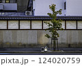 Abandoned household goods by tree in street, Osaka, Japan 124020759
