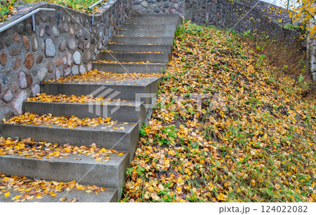 Fallen yellow leaves on stairs along the wall. 124022082